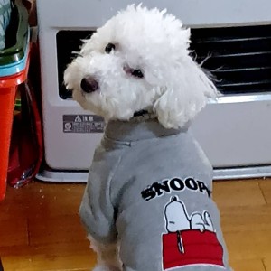 JR0EJZ